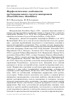 Научная статья на тему 'Морфологические особенности посткраниального скелета жаворонков (Passeriformes, Alaudidae)'