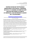 Научная статья на тему 'Морфология исчерченных выводных протоков слюнных желёз в условиях хронической интоксикации кадмием и свинцом (экспериментальное исследование)'