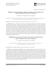 Научная статья на тему 'Морфолого-анатомическое строение семянок восточноазиатского Synurus deltoides (Asteraceae: Cardueae)'