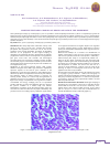 Научная статья на тему 'Morphofunctional changes of hearts of rats in the experiment'