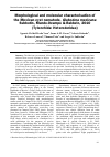 Научная статья на тему 'Morphological and molecular characterisation of the Mexican cyst nematode, Globodera mexicana Subbotin, Mundo-Ocampo & Baldwin, 2010 (Tylenchida: Heteroderidae)'