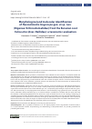 Научная статья на тему 'MORPHOLOGICAL AND MOLECULAR IDENTIFICATION OF NEOMOLINIELLA LONGICORPA GEN. ET SP. NOV. (DIGENEA: ECHINOSTOMATIDAE) FROM THE EURASIAN COOT FULICA ATRA (AVES: RALLIDAE): A TAXONOMIC EVALUATION'