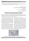 Научная статья на тему 'Morphological aspects of poly-organic impact of radio frequency electromagnetic radiation in experiment'