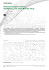 Научная статья на тему 'Morphological Changes in Keratoconus: Interpretation of Corneal Confocal Microscopy Findings'