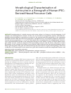 Научная статья на тему 'MORPHOLOGICAL CHARACTERIZATION OF ASTROCYTES IN A XENOGRAFT OF HUMAN IPSC-DERIVED NEURAL PRECURSOR CELLS'