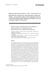 Научная статья на тему 'Morphological description of four new species of Nyctotherus (Ciliophora: Nyctotheridae: Heterotrichida), commensal ciliates of the digestive tract of a terrestrial oligochaete (Megascolecidae) from the northwest region of Cameroon'