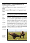 Научная статья на тему 'MOVEMENT PATTERNS OF JUVENILE AND IMMATURE EASTERN IMPERIAL EAGLES FROM BULGARIA'