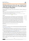 Научная статья на тему 'Multidrug-Resistant Salmonella spp. Isolated from Apparently Healthy Pigeons in a Live Bird Market in Chattogram, Bangladesh'