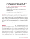 Научная статья на тему 'Multifaced roles of the urokinase system in the regulation of stem cell niches'