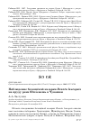 Научная статья на тему 'Наблюдение белощёкой казарки Branta leucopsis на пруду реки Юплемешь в Чувашии'