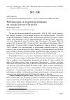 Научная статья на тему 'Наблюдения за морскими птицами на северо-востоке Чукотки'