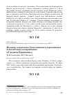 Научная статья на тему 'Находка азиатского бекасовидного веретенника Limnodromus semipalmatus в Среднем Приишимье'