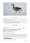 Научная статья на тему 'Находка гнезда европейского тювика Accipiter brevipes в Дагестане'