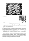 Научная статья на тему 'Нация, национальность, национальное культурное пространство'