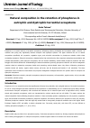 Научная статья на тему 'Natural composition in the retention of phosphorus in eutrophic and dystrophic terrestrial ecosystems'