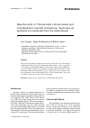 Научная статья на тему 'New records of Thecacineta cothurnioides and Trematosoma rotunda (Ciliophora, Suctorea) as epibionts on nematodes from the Indian Ocean'