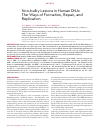 Научная статья на тему 'Non-bulky lesions in human dna: the ways of formation, repair, and replication'