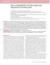 Научная статья на тему 'Non-coding RNAs as transcriptional regulators in eukaryotes'