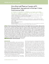 Научная статья на тему 'Non-thermal plasma causes p53-dependent apoptosis in human colon carcinoma cells'