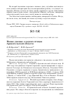 Научная статья на тему 'Новые данные о редких птицах Архангельской области'