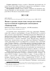 Научная статья на тему 'Новые и редкие виды птиц северо-восточной части Основной территории заповедника «Таймырский»'