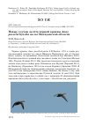 Научная статья на тему 'Новые случаи залёта чёрной кряквы Anas poecilorhyncha на юг Магаданской области'