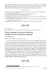 Научная статья на тему 'О гнездовании хохлатого баклана Phalacrocorax aristotelis в Крыму'