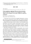 Научная статья на тему 'О гнездящихся птицах Ойсульских плавней, малом баклане Phalacrocorax pygmeus, огаре tadorna ferruginea и пеганке tadorna tadorna в Крыму'