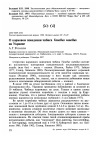 Научная статья на тему 'О кормовом поведении чибиса vanellus vanellus на Украине'