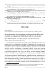 Научная статья на тему 'О необычных поселениях деревенской Hirundo rustica и городской Delichon urbica ласточек'