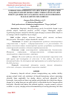 Научная статья на тему 'O‘ZBEKISTONDA KIBERJINOYATLARNI TERGOV QILISHGA DOIR XALQARO STANDART HAMDA USHBU TURDAGI JINOYATLARNI TERGOV QILISHDA DAVLATLARNING MANFAATLI HAMKORLIGI MASALALARINING DOLZARBLIGI'