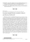 Научная статья на тему 'О зимовке щуров pinicola enucleator в Калуге'