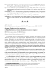 Научная статья на тему 'Огарь Tadorna ferruginea в Прибайкальском национальном парке'