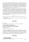 Научная статья на тему 'Огарь Tadorna ferruginea в Санкт-Петербургской губернии'