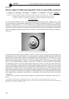 Научная статья на тему 'On the origin of radial and tangential cracks in optical fiber preforms'