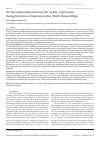 Научная статья на тему 'On the relationships between the Al2SiO5 polymorphs during formation of blastomylonites (North Yenisei Ridge)'