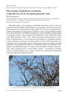 Научная статья на тему 'Ополовник Aegithalos caudatus в Архангельске и его пригородной зоне'