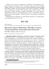 Научная статья на тему 'Орлан-белохвост Haliaeetus albicilla и змееяд Circaetus gallicus в бассейне реки Клязьмы'