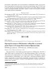 Научная статья на тему 'Орлан-белохвост Haliaeetus albicilla в долине реки Урал и Северо-Восточном Прикаспии'