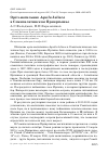 Научная статья на тему 'Орёл-могильник Aquila heliaca в Семипалатинском Прииртышье'