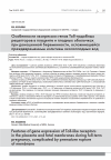 Научная статья на тему 'ОСОБЕННОСТИ ЭКСПРЕССИИ ГЕНОВ TOLL-ПОДОБНЫХ РЕЦЕПТОРОВ В ПЛАЦЕНТЕ И ПЛОДНЫХ ОБОЛОЧКАХ ПРИ ДОНОШЕННОЙ БЕРЕМЕННОСТИ, ОСЛОЖНИВШЕЙСЯ ПРЕЖДЕВРЕМЕННЫМ ИЗЛИТИЕМ ОКОЛОПЛОДНЫХ ВОД'