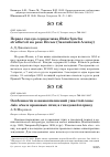 Научная статья на тему 'Особенности взаимоотношений ушастой совы Asio otus и врановых птиц в гнездовой период'