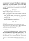 Научная статья на тему 'Озёрная чайка Larus ridibundus, зяблик Fringilla coelebs и юрок Fringilla montifringilla в Таймырском заповеднике'