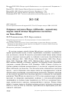 Научная статья на тему 'Озёрная лягушка Rana ridibunda - новый вид корма синей птицы Myophonus caeruleus на Тянь-Шане'