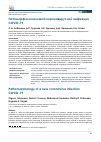 Научная статья на тему 'ПАТОМОРФОЛОГИЯ НОВОЙ КОРОНАВИРУСНОЙ ИНФЕКЦИИ COVID-19'