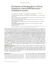 Научная статья на тему 'Peculiarities of the regulation of gene expression in the Ecl18kI restriction–modification system'