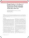 Научная статья на тему 'Phage display on the base of filamentous bacteriophages: application for recombinant antibodies selection'