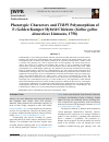 Научная статья на тему 'Phenotypic Characters and TYRP1 Polymorphism of F4 Golden Kamper Hybrid Chickens (Gallus gallus domesticus Linnaeus, 1758)'