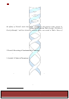 Научная статья на тему 'Phoenician cosmology as a proto-base for Greek materialism, naturalist philosophy and Aristotelianism'