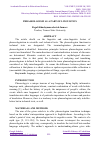 Научная статья на тему 'PHRASEOLOGISM AS A PART OF LINGUISTICS'